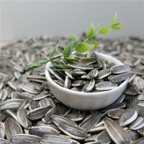Chinese Sunflower Seeds From Factory