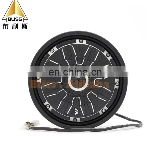 10 Inch 12 Inch Rear Hub Motor 250W-1000W Brushless Hub Motor Electric Bicycle Hub Motor Kit ev Conversion Kit photo-2