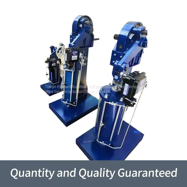 Pneumatic Long Stroke Actuator ZSL/DJ-160-B1W Anti-corrosion Valve Device With Dust Cover photo-5