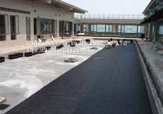 Water Drainage Sheet Extrusion Line photo-2