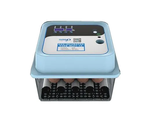 220v+12v Automaitic Egg Turning Mini Chicken Incubator for Home Use