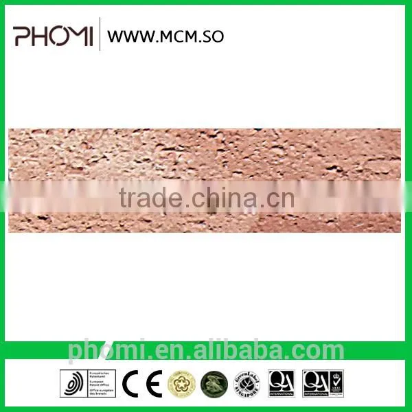 Cost Effective Multifunction Flexible Light Weight Thin Suitable for High-rises 240*60 Eco Brick photo-3