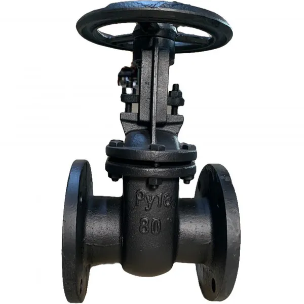 Hot Sale Py16 GOST Standard 20# Flange Connection Cast Iron Gate Valve With Handwheel photo-4