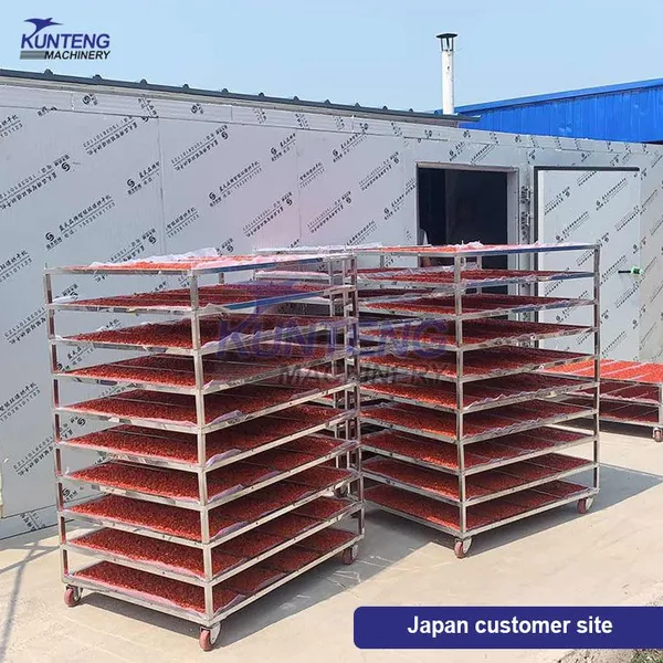 High Efficiency Tray Jasmine Flowers Kelp Longan Jujube Walnut Apricot Dryer Drying Production Line photo-3