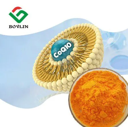 Liposome Coenzyme Q10