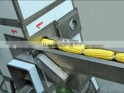 Sweet Corn Processing Machines | Fresh Corn Shelling Machines