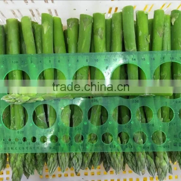 Frozen Fresh Green Asparagus photo-2