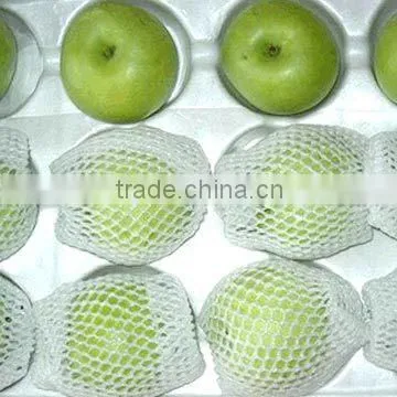 Weihai E-Fashion PE Foam Fruit Net Extruding Machine photo-6