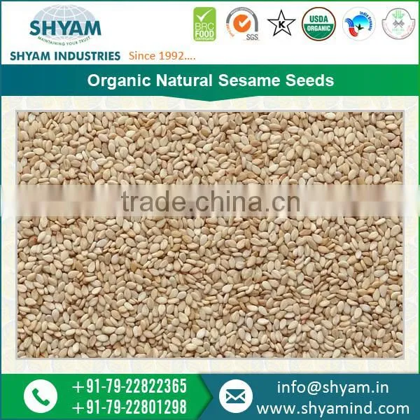 Highly Nutritious Top Rated Sesame Seeds Dealers photo-6