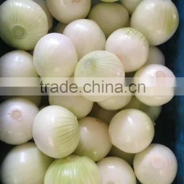 2014 Crop Fresh Yellow Onion High Quality and Good Price