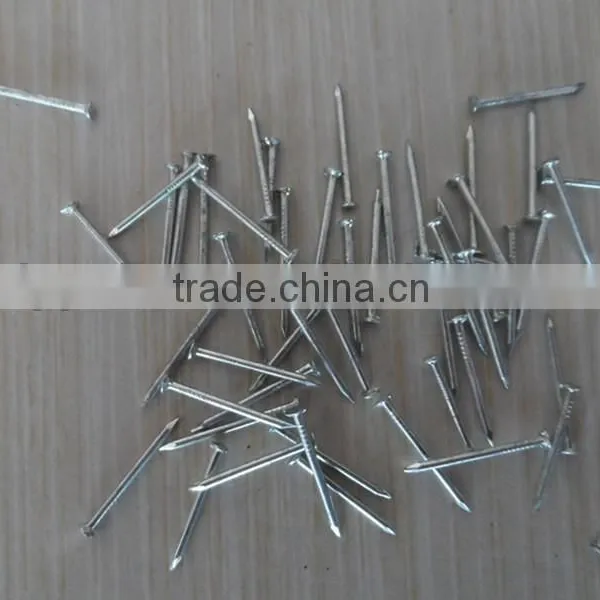 Electro Galvanized Round Steel Nail,brightly Steel Nail