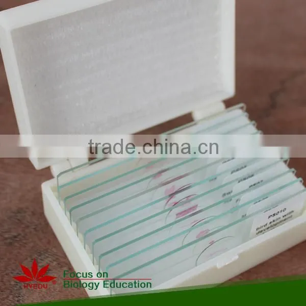 Microscope Prepared Slides ,MEDICAL PARASITOLOGY Slides, Prepared Slides photo-4