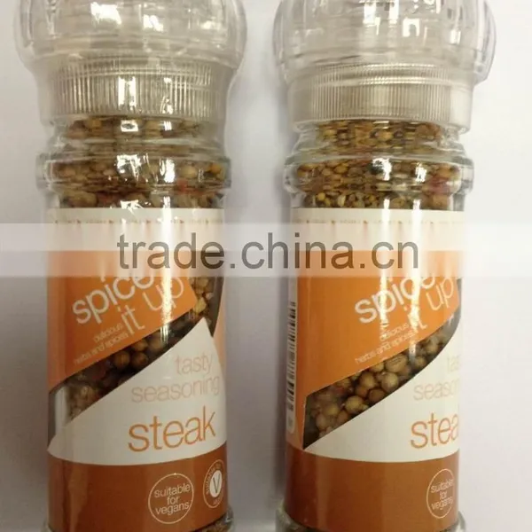 Plastic Salt and Pepper Grinder