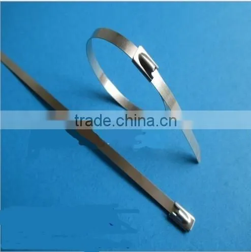 Specialized Exporter,Self Locking Stainless Steel Cable Ties photo-6