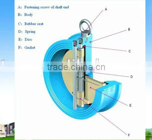 Dual Plate Check Valve With Stainless Steel Disc photo-3