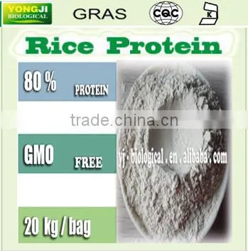 Rice Protein 100 Mesh for Beverage