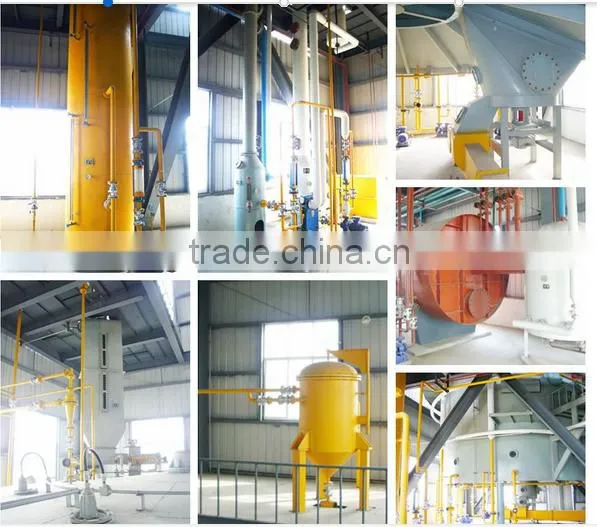Almond Oil Extraction Machine/soya Bean Oil Extraction Machine photo-5