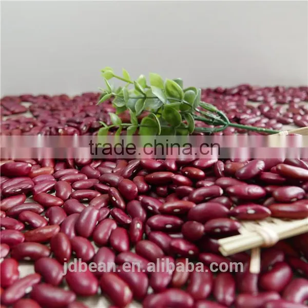 Chinese Dark Red Kidney Beans Shanxi Variety photo-3