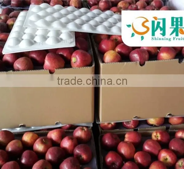 HUANIU APPLES IN CHINA photo-2