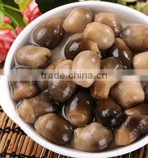 Healthy High Quality Canned Straw Mushroom With Factory Price photo-5