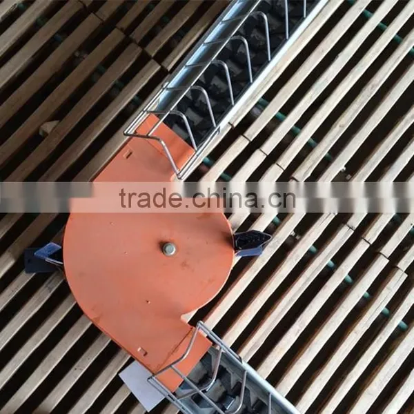 Poultry Farm Equipment for Breeder photo-4