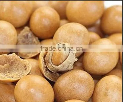 Butter Peanuts Processing Line