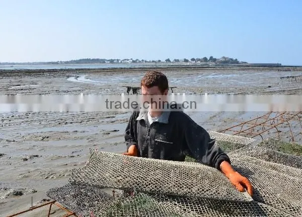 Aquaculture /oyster Growing Bag/ Cage photo-6