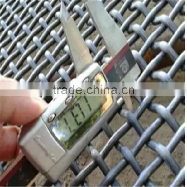 High Quality ss .double Crimped Mine Sieving Mesh photo-5