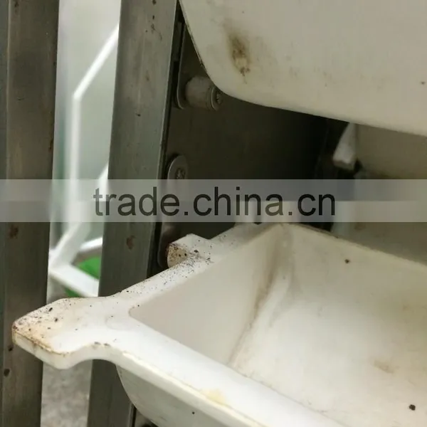Belt Conveyor for Packaging Machinery photo-3