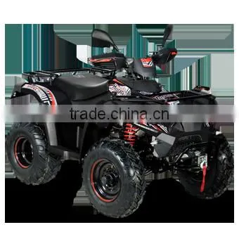 ATV 300 4x4 photo-3