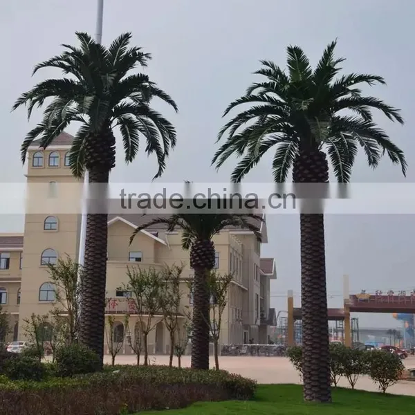 Artificial Date Palm Tree photo-5