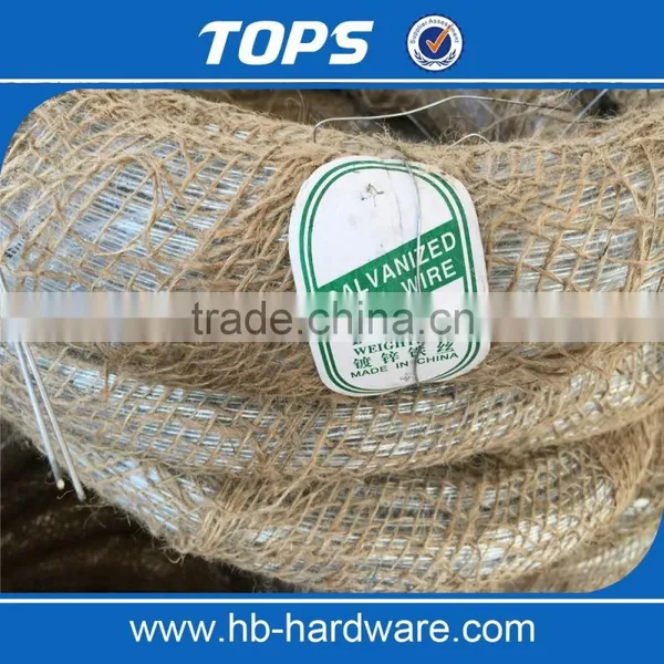Hot Dipped Galvanized Iron Wire photo-5