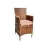 Arm Chair