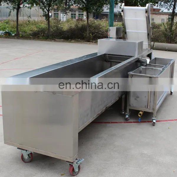 Commercial Good Quality Tomato Ozone Vegetable Washing Machine Pepper Washer photo-7