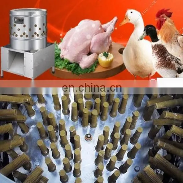 Chuangyuan TM60 Chicken Plucker/poultry Plucker/chicken Feather Plucking Machine for Sale photo-3