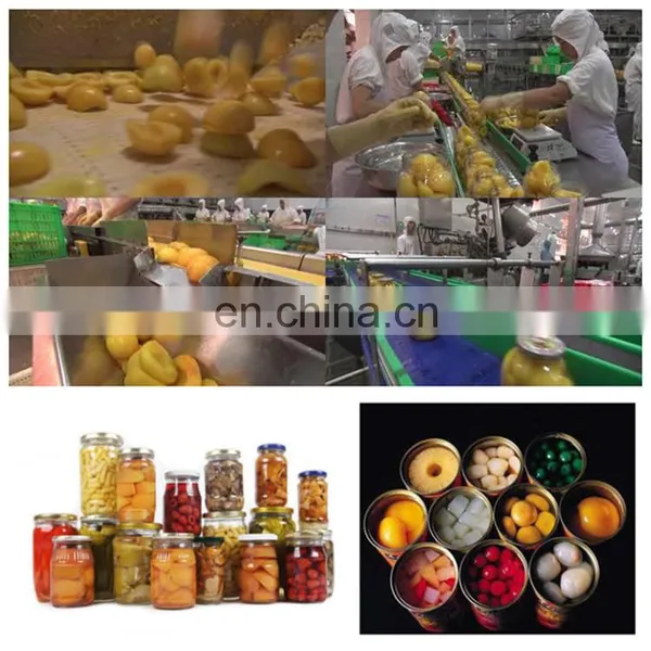CHINA Market Fruits and Vegetables Production Line Instant Juice Drink Processing Plant Making Machines photo-2