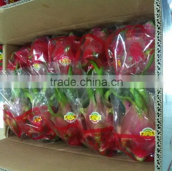 Dragon Fruit Vietnam Specialties - Fresh Dragon Fruit for Sale - Red Dragon Fruit photo-2