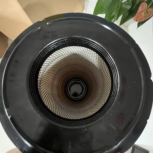 SDLG High Quality Air Filter 4110000763001 for Wheel Loader From China in Stock photo-2