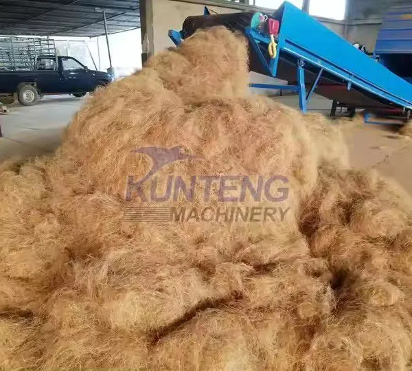 Decorticating of Single High Capacity Coconut Husk Decorticating Shredding Machine EPC photo-5