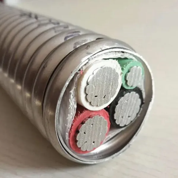 MC Clad cable 10/3C