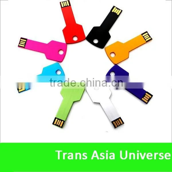 Hot Selling Cheap Custom Usb Key 32g photo-5