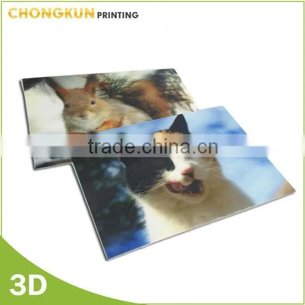 Factory Lenticular 3D Effect Plastic Picture for Promotional photo-6