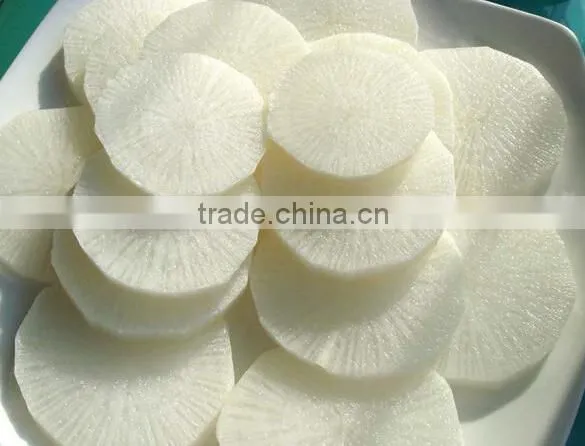 Onion and Pepper Cutting Machine|Ginger and Banana Slicing Machine photo-5