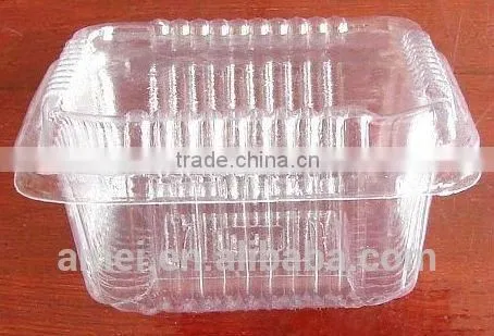 Customized PVC Blister Clear Plastic Packaging Tray Vacuum Forming photo-6