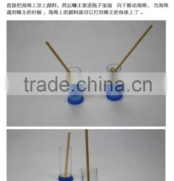 Beekeeping Tool Queen Breeding Marking Bottle,beekeeping Rearing Tool Bee Marking Bottle On Sale photo-3