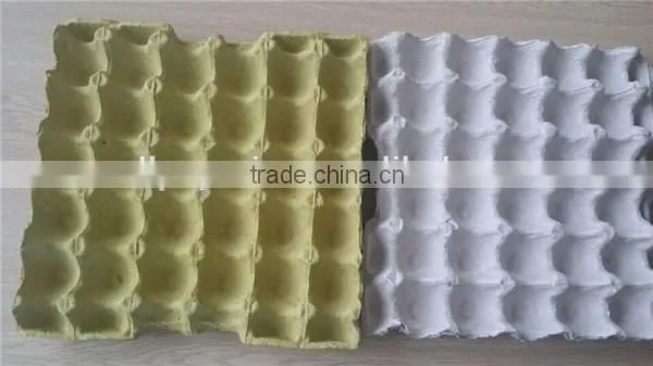 Egg Carton/ Egg Tray/ Egg Box photo-5
