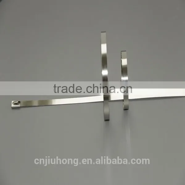 cable strap lock device