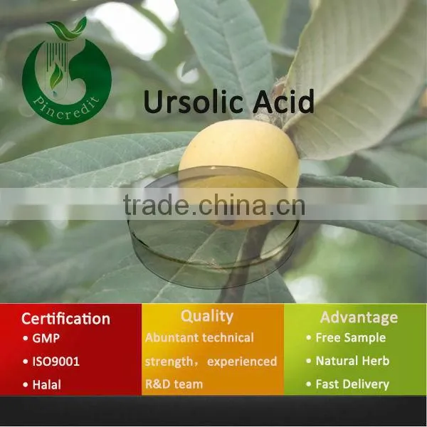 Loquat Leaves Extract Powder Ursolic Acid 25% Ursolic Acid