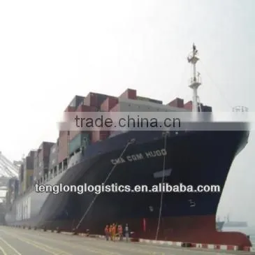 Best Shipping Agent Offer Seafreight Airfreight and CIQ Agent to Cairo of Egypt From China Shenzhen Guangzhou Shanghai