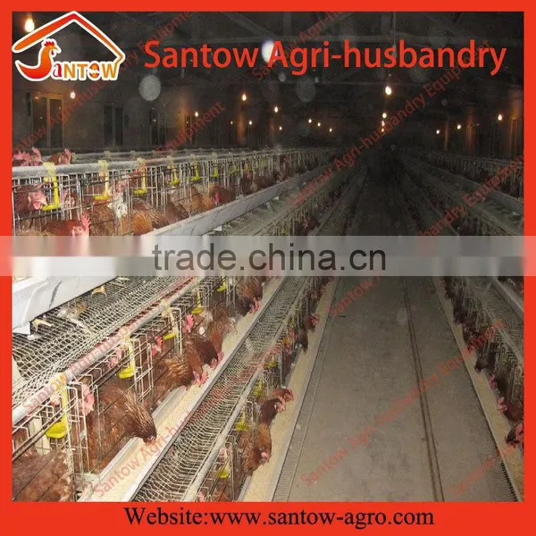 Chicken Use Welded Wire Chicken Layer Cages Automatic Broiler Feeding System photo-2